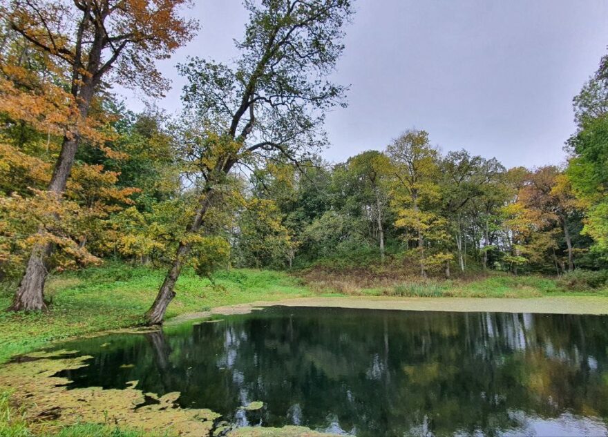 Пропавшего в Тверской области мужчину нашли в пруду