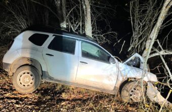 На грунтовой дороге в Тверской области машина въехала в дерево На грунтовой дороге в Тверской области машина въехала в дерево