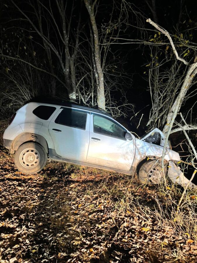На грунтовой дороге в Тверской области машина въехала в дерево