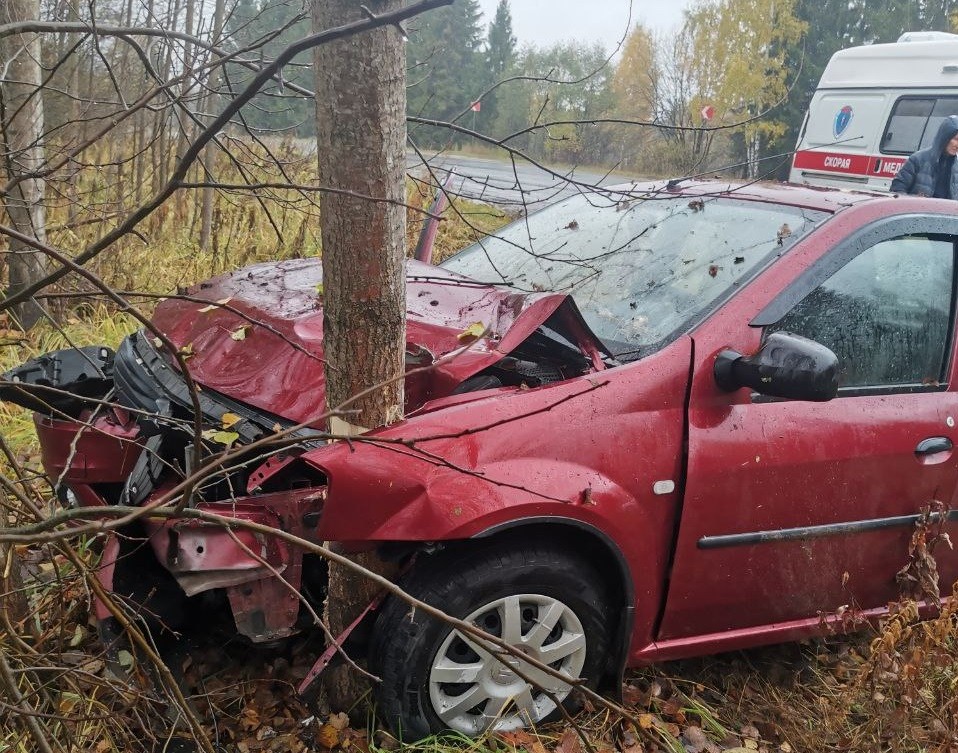 В Тверской области пострадала пассажирка врезавшейся в дерево иномарки