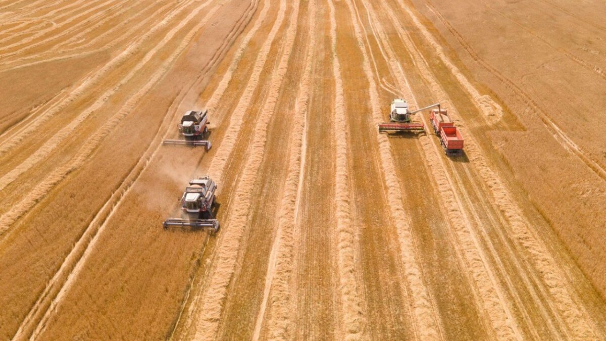 В Тверской области завершается уборочная кампания — Новость от 4 октября 2022 года