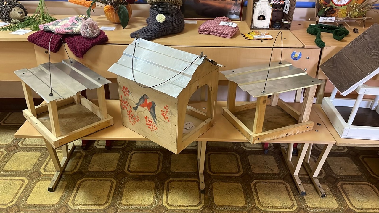 Вышневолоцкие студенты украсили общественные пространства кормушками