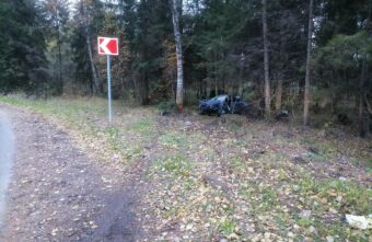 В Тверской области скончался водитель врезавшейся в дерево иномарки