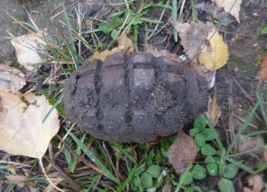 В Тверской области обезвредили ручную гранату времён войны