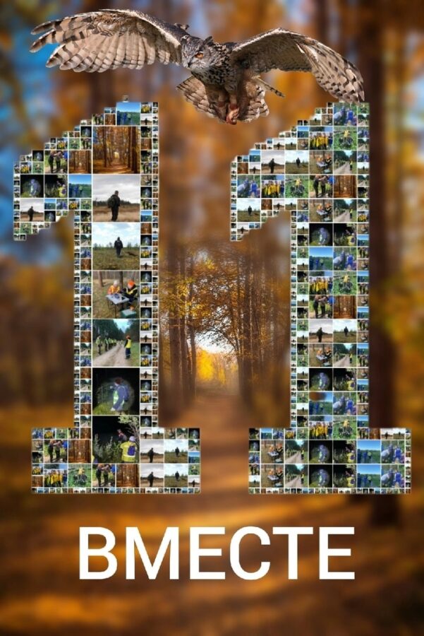 Добровольцы Тверской области отметили 11-летие "Совы"