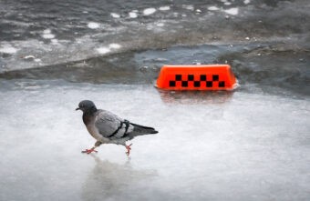 В Тверскую область идет резкое похолодание В Тверскую область идет резкое похолодание