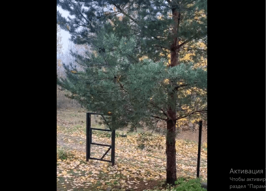 Жители Тверской области радуются первому снегу Жители Тверской области радуются первому снегу