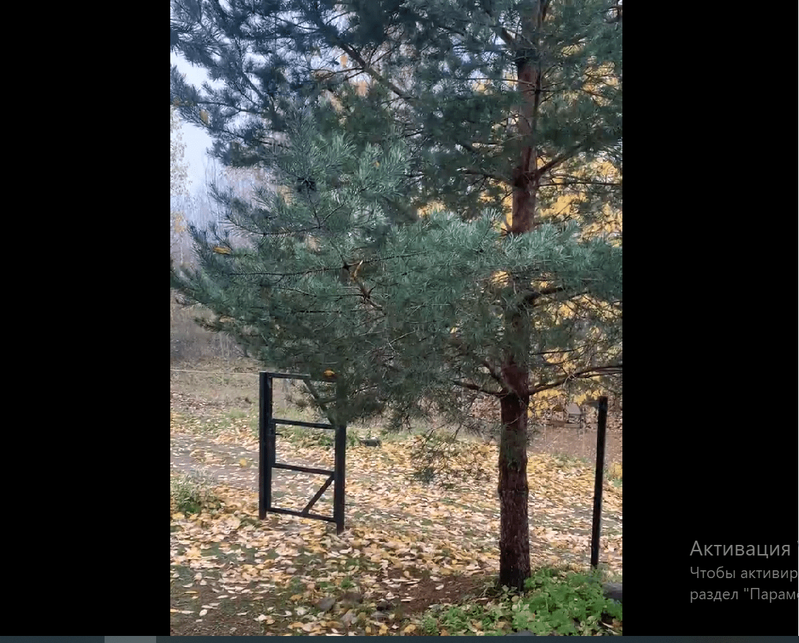 Жители Тверской области радуются первому снегу