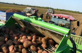 В Тверской области увеличилась урожайность зерновых культур, картофеля и овощей В Тверской области увеличилась урожайность зерновых культур, картофеля и овощей