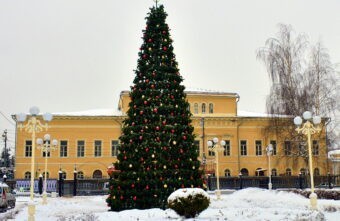 В Твери начали устанавливать новогодние ёлки