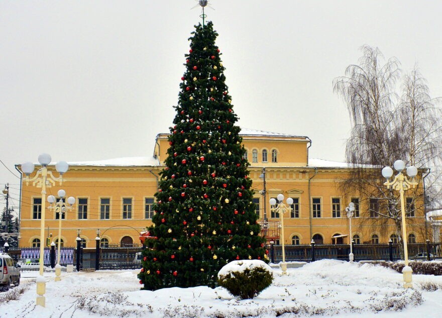 В Твери начали устанавливать новогодние ёлки
