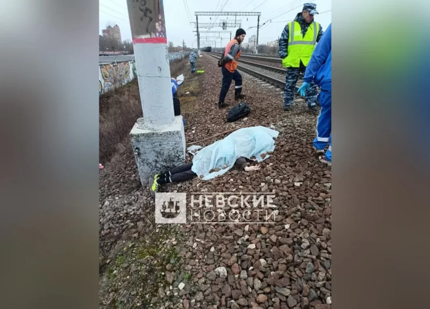Уроженец Тверской области лишился головы под Питером Уроженец Тверской области лишился головы под Питером