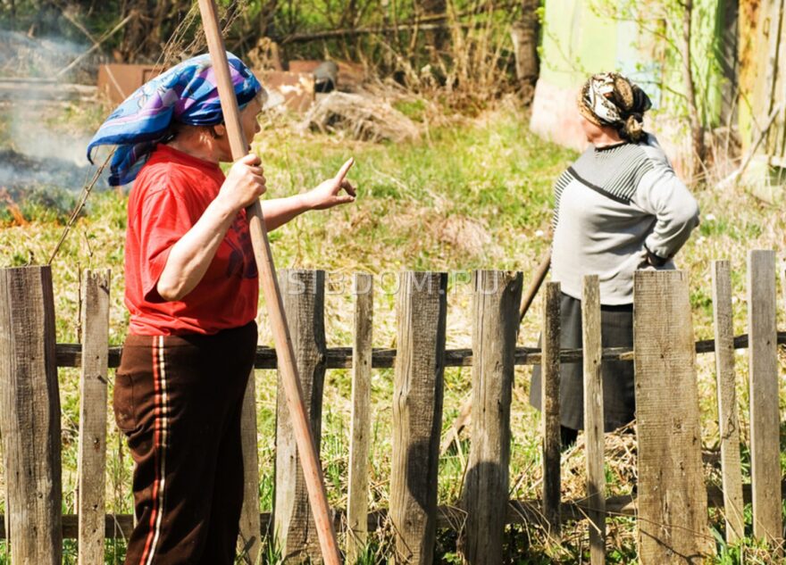 Ссора двух соседок в Тверской области закончилась в суде Ссора двух соседок в Тверской области закончилась в суде