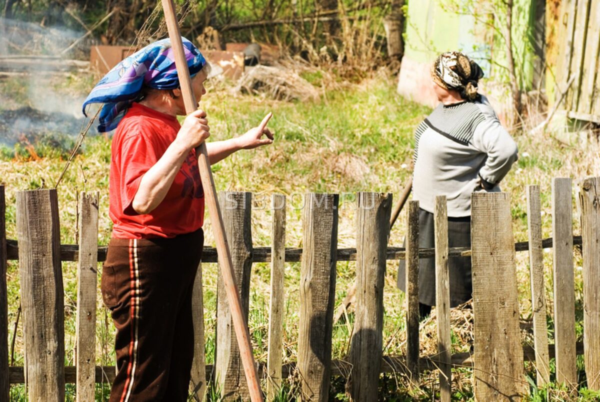 Ссора двух соседок в Тверской области закончилась в суде