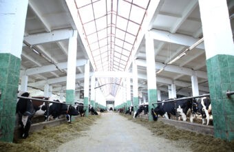 В Тверской области вырос объем средств, привлеченных аграриями В Тверской области вырос объем средств, привлеченных аграриями