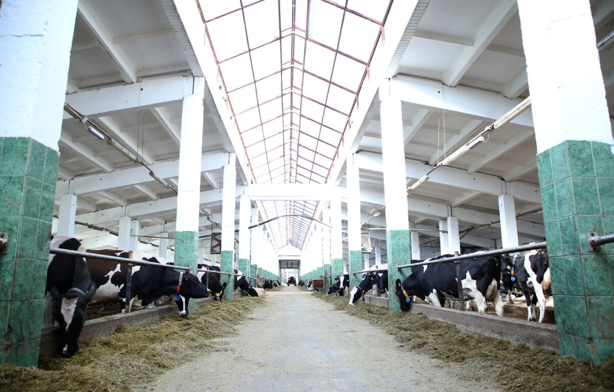 В Тверской области вырос объем средств, привлеченных аграриями