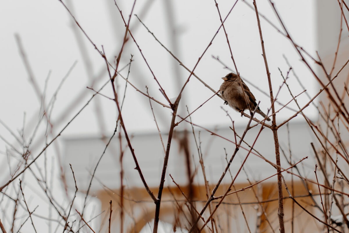 В выходные жителей Тверской области ждет резкий перепад температуры