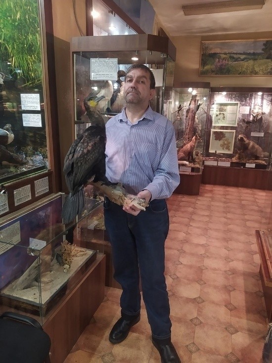 Чучело баклана впервые появится в одном из музеев Тверской области