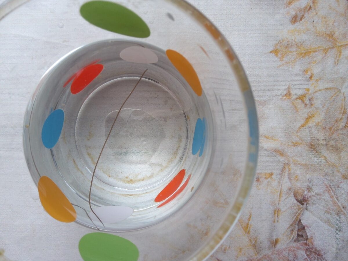 Житель Тверской области нашел в воде из-под крана паразита Житель Тверской области нашел в воде из-под крана паразита