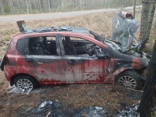 В Тверской области "Шевроле" врезалось в дерево и загорелось В Тверской области "Шевроле" врезалось в дерево и загорелось