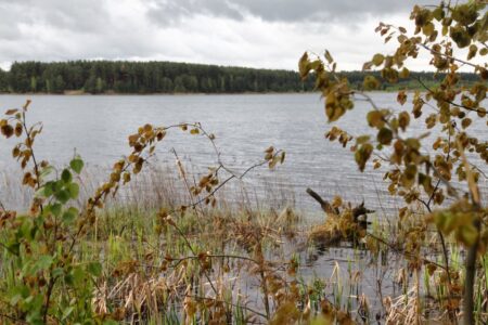 Следователи выясняют обстоятельства гибели мужчины на реке в Тверской области