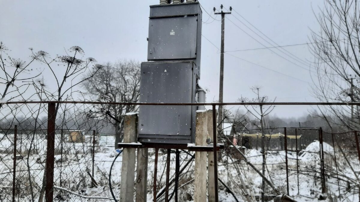 В Тверской области три кота обесточили поселок В Тверской области три кота обесточили поселок