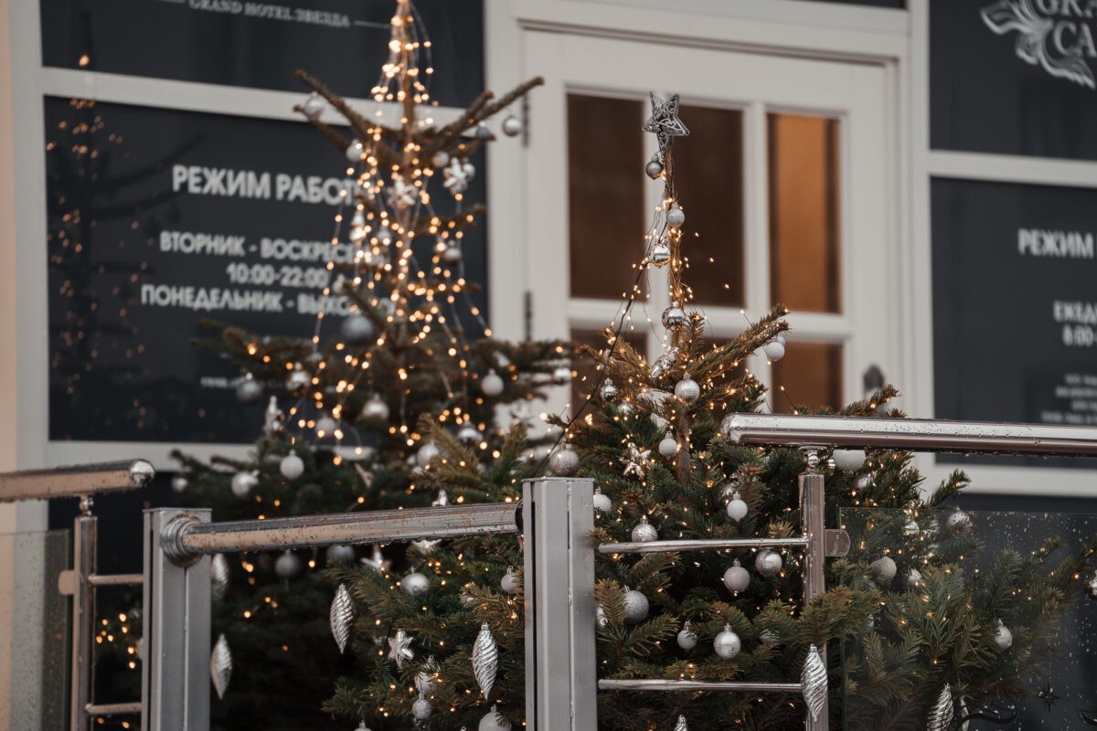 Тверская область попала в десятку популярных новогодних направлений