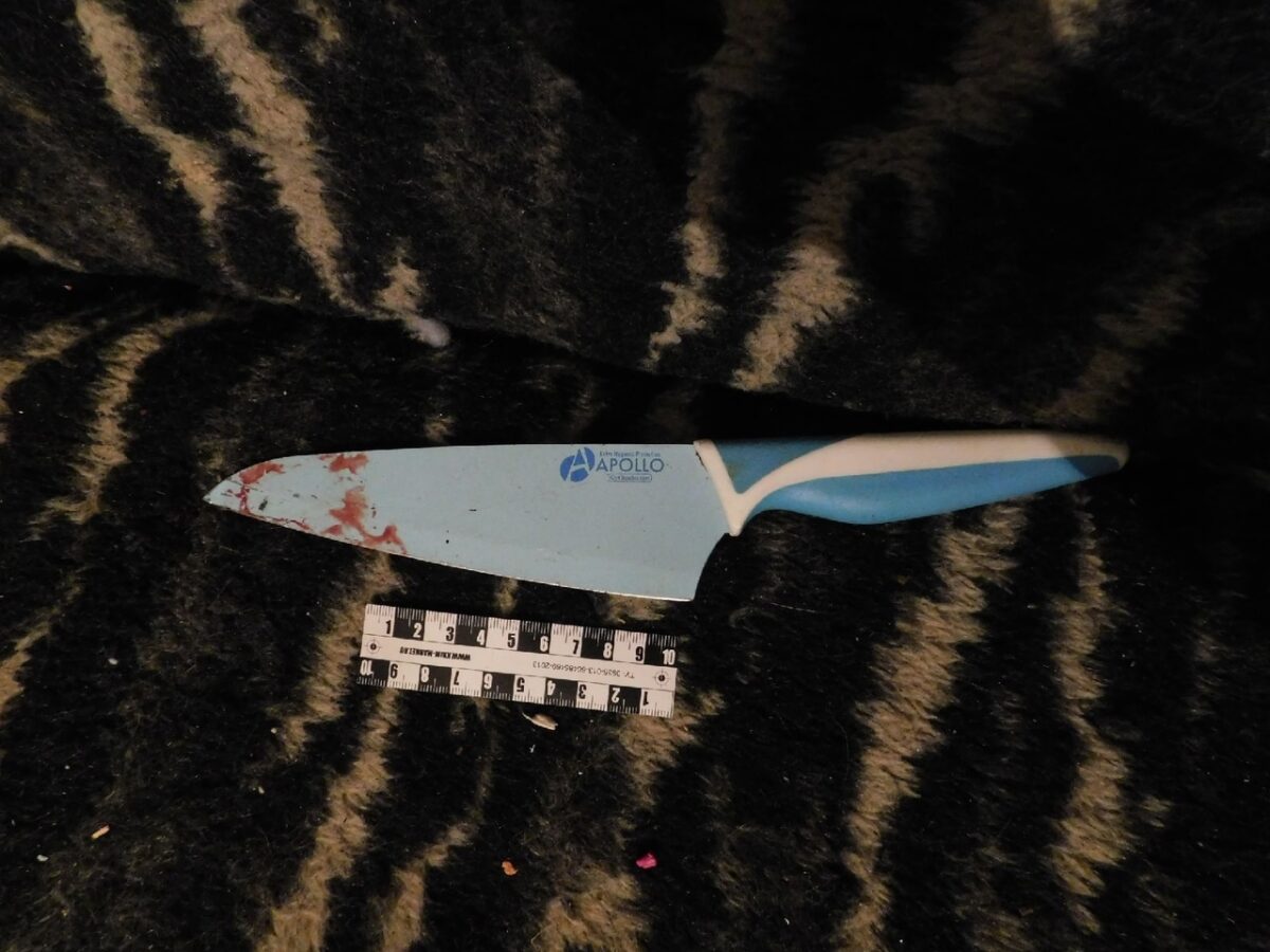 Житель Тверской области, зарезавший человека, предстанет перед судом