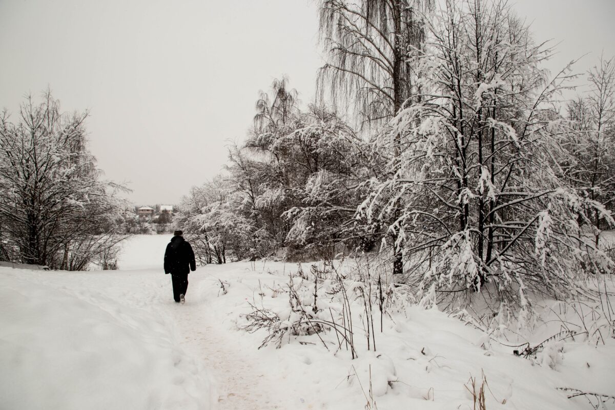 Погода недели в Тверской области: снег, дождь, лед и туман