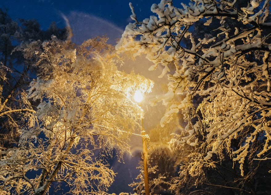 Синоптики дали предварительный прогноз на Новый год в Тверской области Синоптики дали предварительный прогноз на Новый год в Тверской области