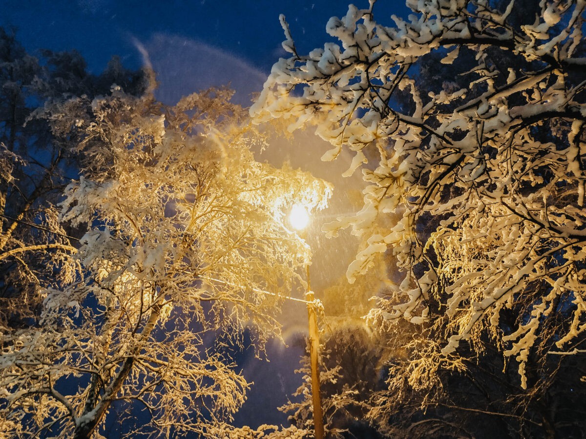 Синоптики дали предварительный прогноз на Новый год в Тверской области