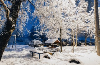 Синоптики рассказали, когда в Тверской области выпадет снег