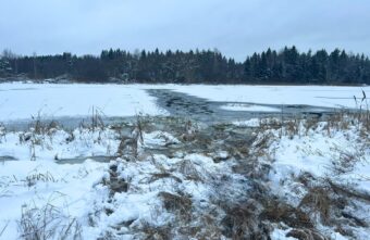 Следователи занялись гибелью мужчины, тело которого нашли в ручье в Тверской области Следователи занялись гибелью мужчины, тело которого нашли в ручье в Тверской области