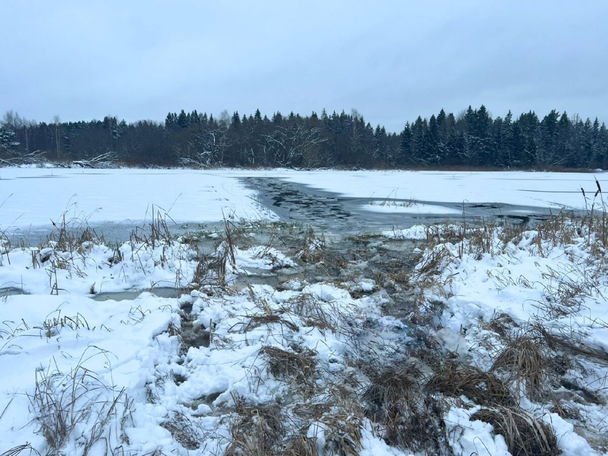 Следователи занялись гибелью мужчины, тело которого нашли в ручье в Тверской области