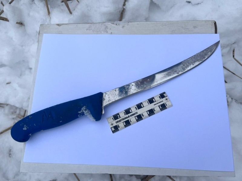 Жителя Тверской области, который зарезал пенсионерку, ждёт суд