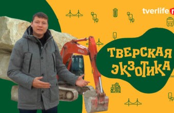 «Тверская экзотика»: окаменелости Старицких карьеров «Тверская экзотика»: окаменелости Старицких карьеров