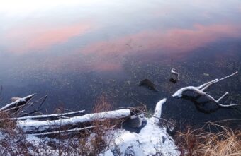 На реке в Тверской области появилась маслянистая плёнка На реке в Тверской области появилась маслянистая плёнка