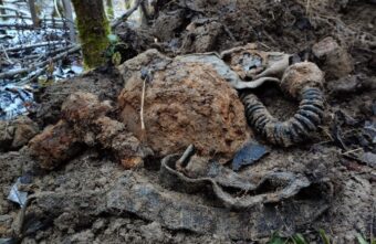 В Тверской области обнаружили останки красноармейцев