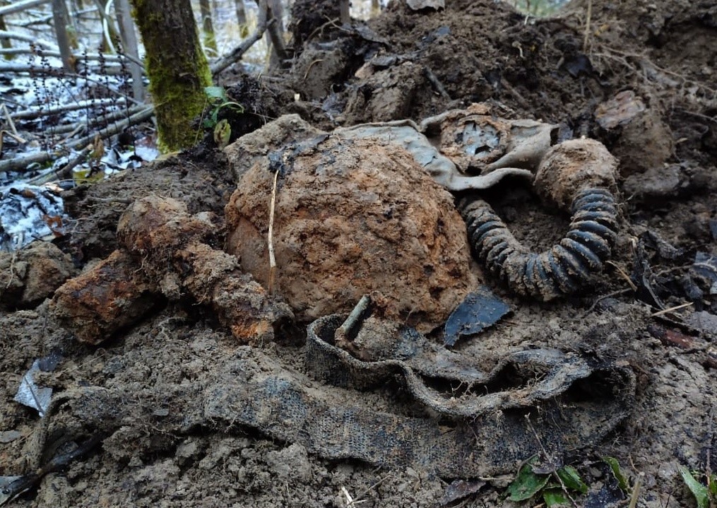 В Тверской области обнаружили останки красноармейцев