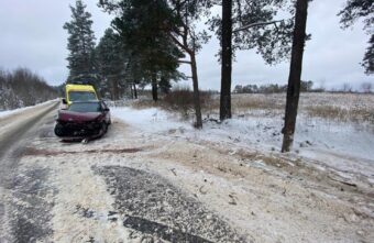 ВАЗ протаранил дерево, съехав с дороги под Тверью