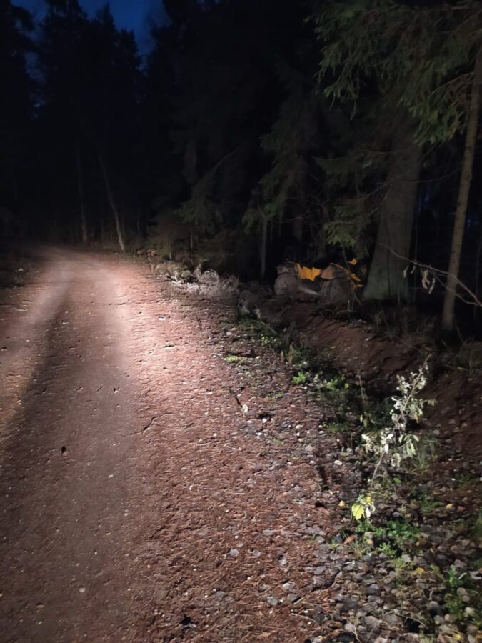 В Тверской области молодая женщина врезалась в дерево на квадроцикле