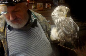 Жители Тверской области спасли умирающую на дороге сову