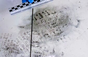 Стали известны подробности убийства в Твери, совершенного только что освободившимся мужчиной