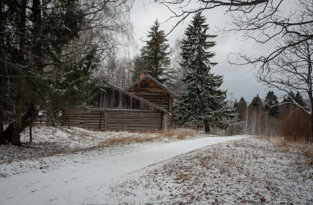В Тверскую область приходят холода и снегопады  