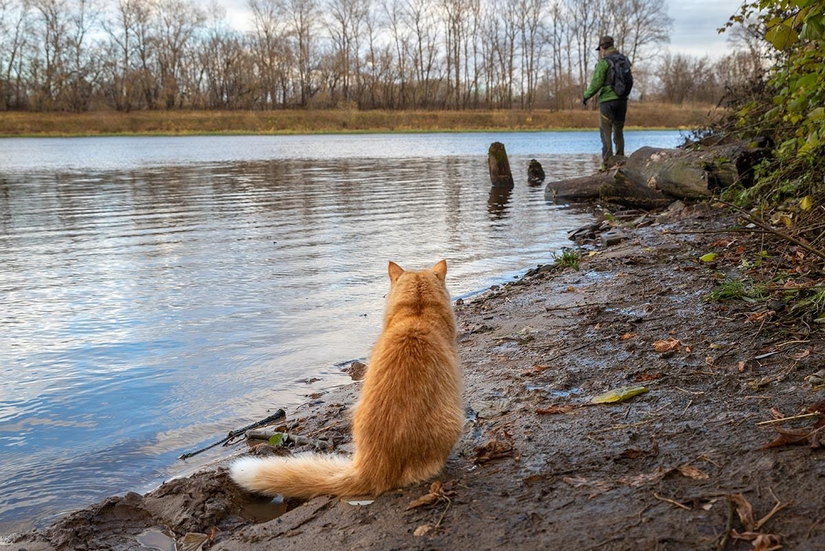 В Тверскую область идет большое потепление