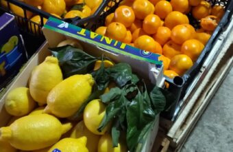 В Тверской области проконтролировали качество фруктов В Тверской области проконтролировали качество фруктов