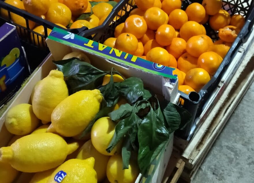 В Тверской области проконтролировали качество фруктов