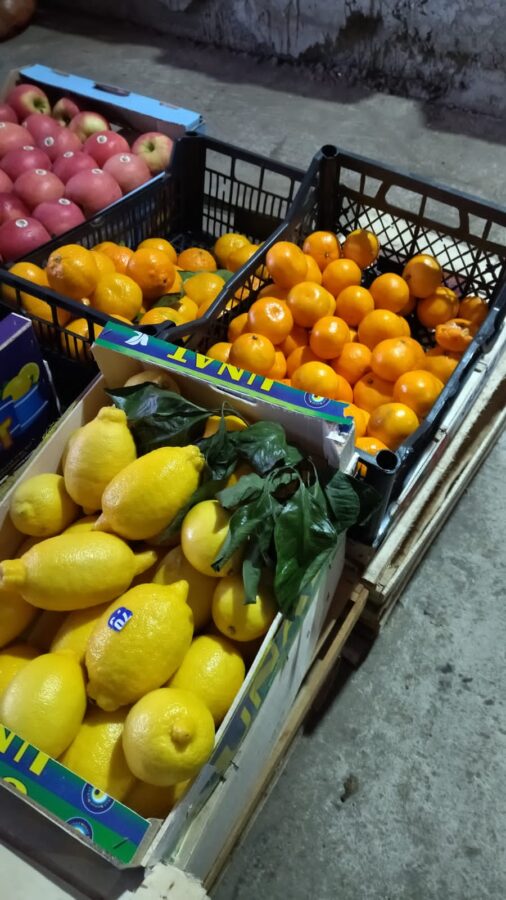 В Тверской области проконтролировали качество фруктов