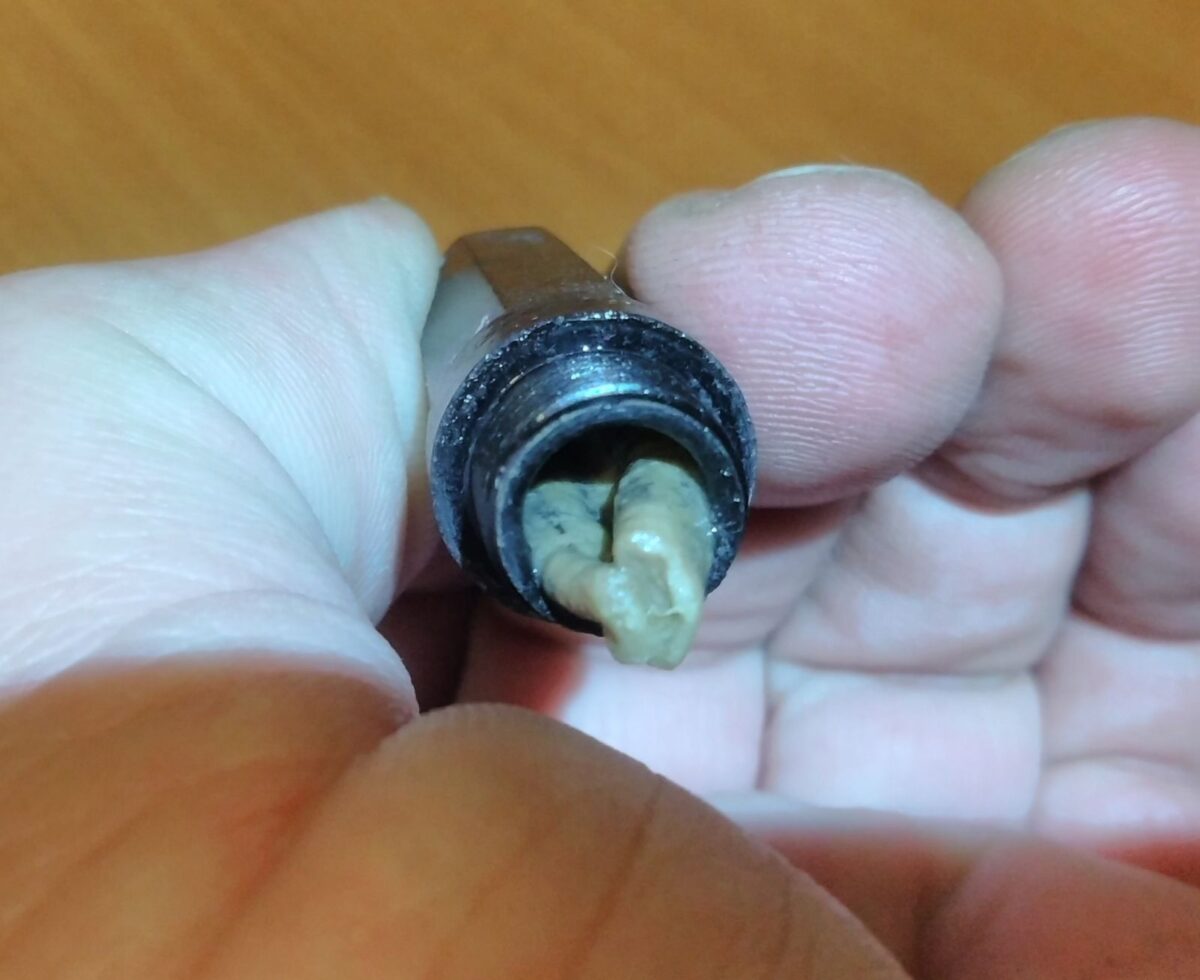 Поисковики установили имя погибшего в Тверской области красноармейца