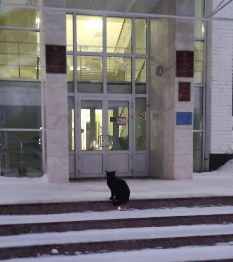 Черный Лаки захватил всю тверскую академию